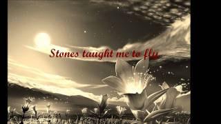 Cannonball by Damien Rice [Lyrics on Screen]