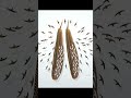 Chris Maynard: the man who taught feathers to fly one last time