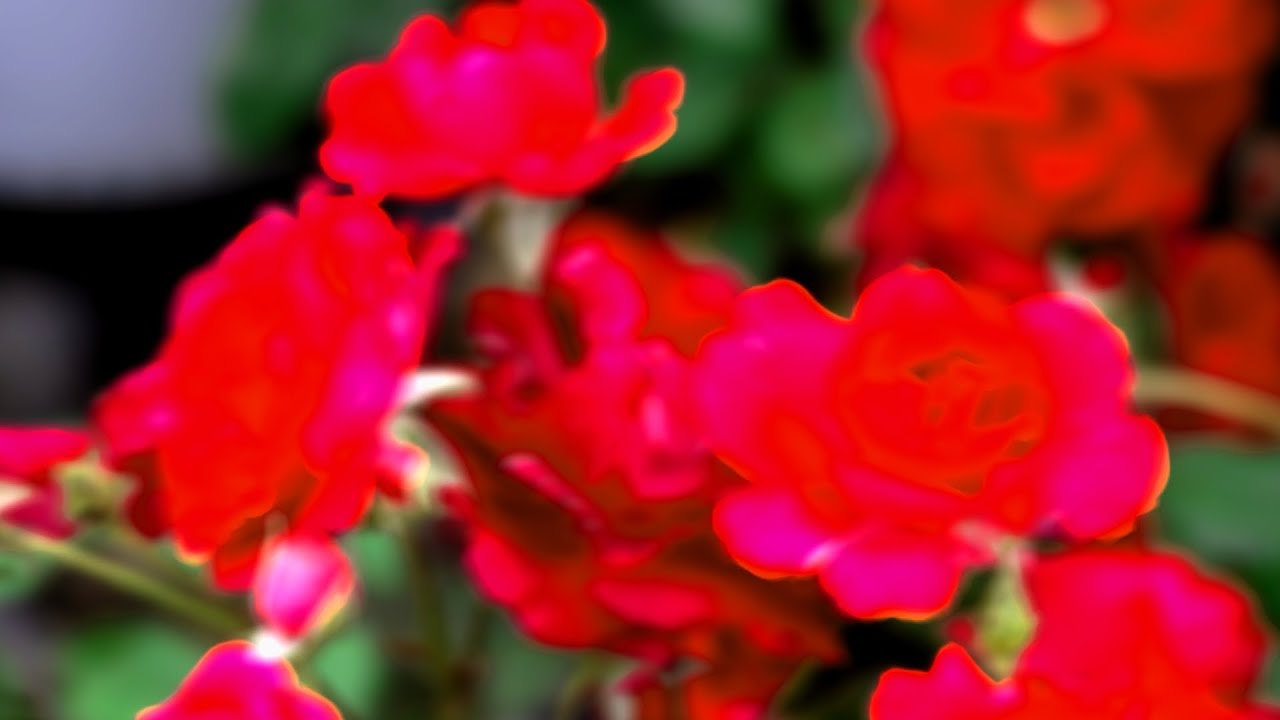 Hella Savage and Ice szn - Paranoid (Official Audio)