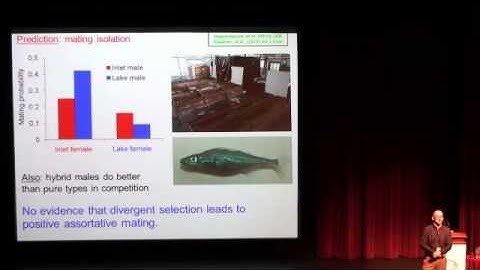 Progress toward ecological speciation in guppies, stickleback, and Darwin