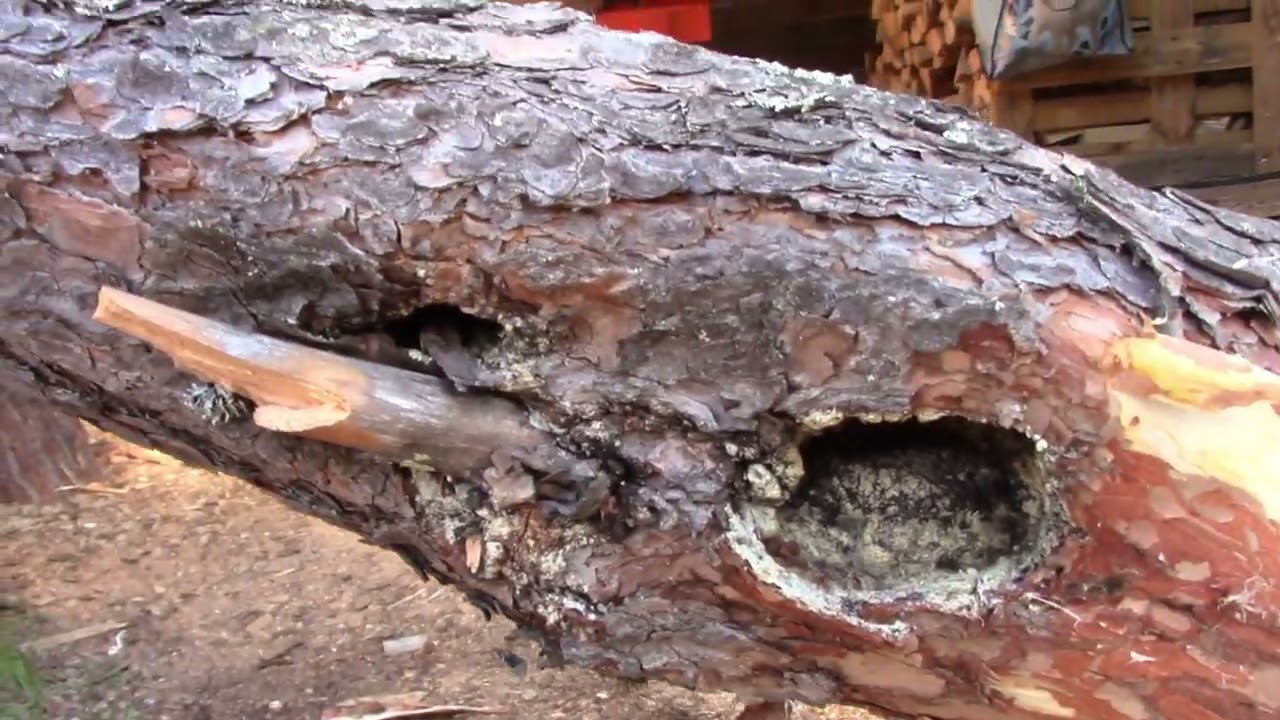 Romahtaako kodin katto ?