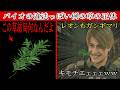 【草】バイオの『ハーブ』とかいう違法っぽい例の草の正体が結構アウトっぽい