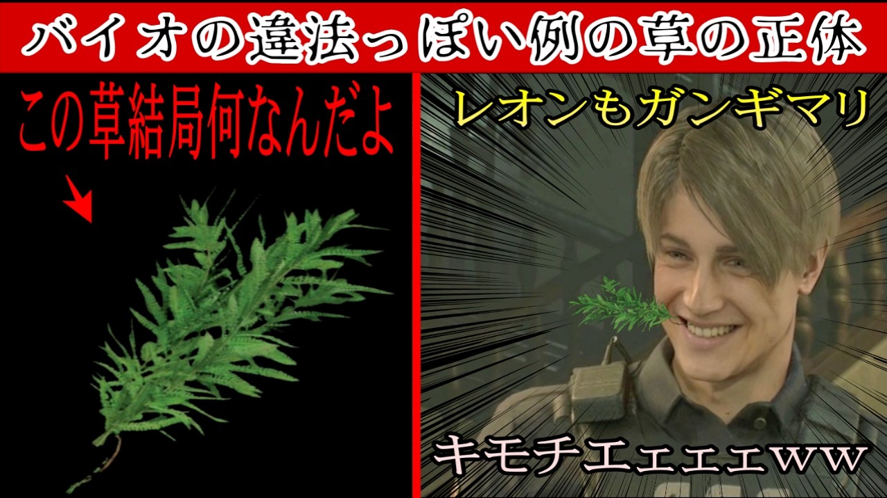 【草】バイオの『ハーブ』とかいう違法っぽい例の草の正体が結構アウトっぽい