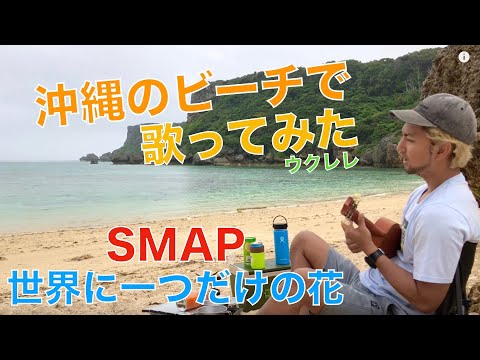 【沖縄のビーチで歌ってみた!!】SMAP/世界に一つだけの花