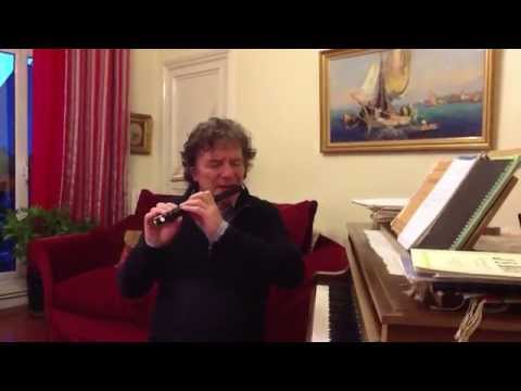 flute piccolo Combattre le côté agressif de l’instrument |Fighting aggressive side of the instrument