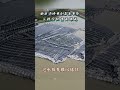 颱風與淹水事件