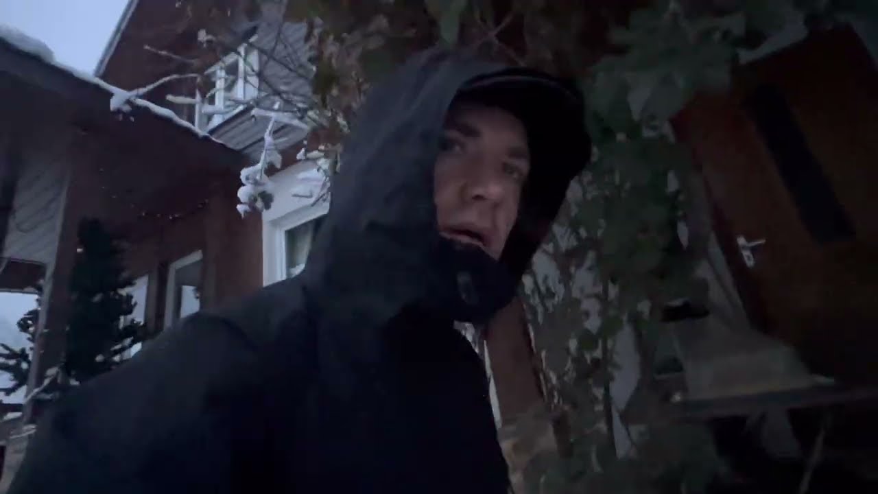 17 января 2026 Сколько снега навалило Сегодня Своевременное лечение кошечки идет успешно