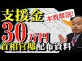 【首相官邸資料】5月28日総理会見前に配布された関係者資料を基に制度の「概要」と「本質」を読み解く｜支援金30万円｜特例貸付８月末まで延長｜キーワードは「貸付金・支援金を隙間なく繋ぐ」社協｜福祉事務所