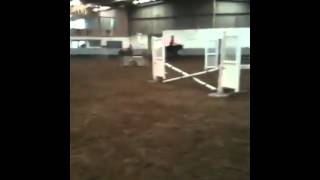 Mine and Ruby's first course of showjumps