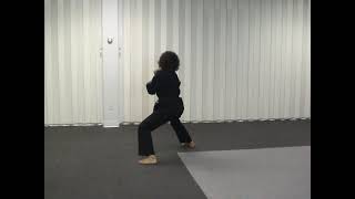 0-Goshin-Ryu Katas Beginner Part 3A screenshot 2
