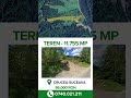Teren - 11.755 mp, Crucea - SV
