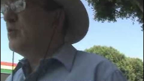 Back Pain Solutions With Alexander Technique VIII