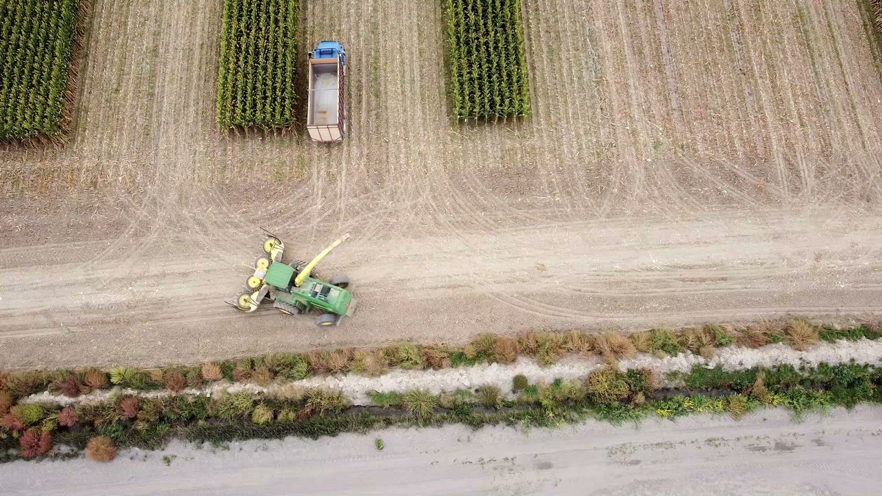 Chopping corn in Western Colorado
