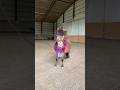 Bruno mogs #minihorse #miniaturehorse #pony #fyp #horse