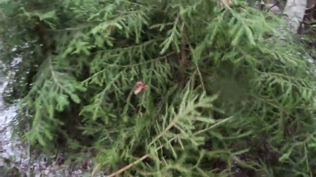 Ennakkoraivaus 545 FXT ja sen tärkeys