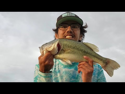 Bass Fishing Compilation… Best of June 2024! (New PB x 2!!)