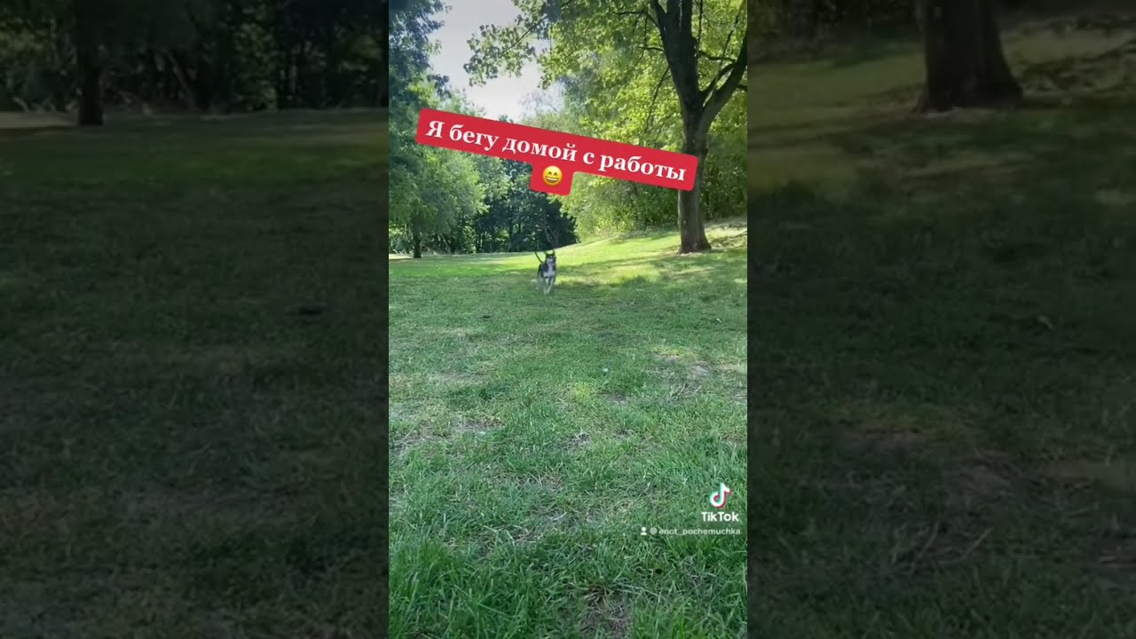 бегу домой с работы