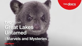 Marvels and Mysteries | Great Lakes Untamed | Full Episode | TVO Original
