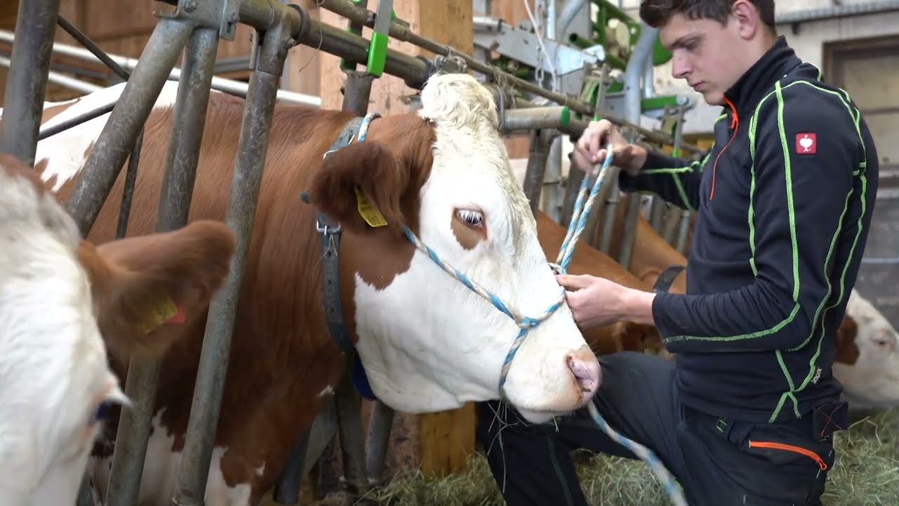 LFS Tamsweg - wir stellen uns vor