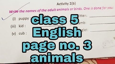 class 5 ইংলিশ  activity 2(a) & 2 (b) solve। ✍️page no 3 /Home tuition in bengali/
