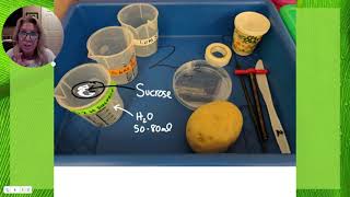 APBio Investigative Lab 4: Diffusion & Osmosis Overview