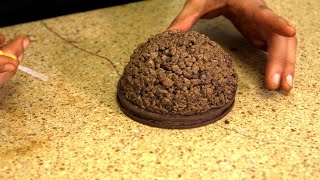 Extreme Chocolate Art - Mind-Blowing Edible Sculptures & Sweet Surprises
