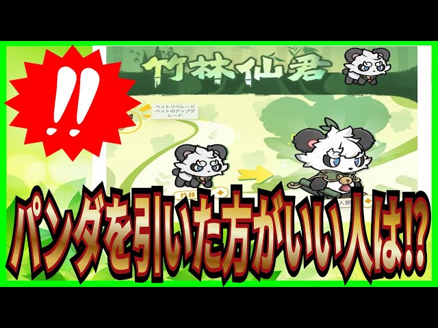 【杖と剣の伝説】実況 初心者必見⁉ パンダを引くべき人について調べた結果は...【杖剣】