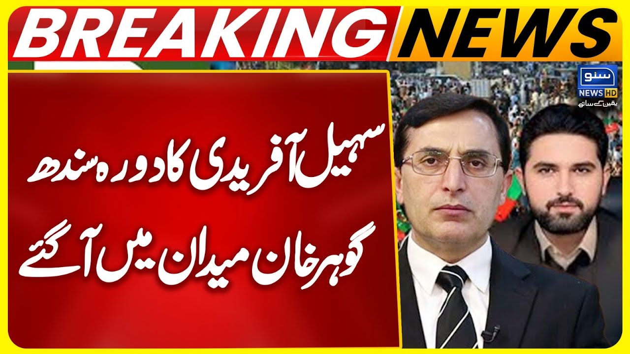 Sohail Afridi in Karachi | Gohar Khan's Shocking Statement | PTI | Imran Khan  | Suno News HD