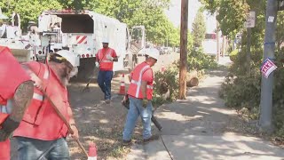 Trees, wires down in Carmichael due to winds