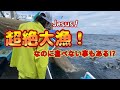 【福漁丸】超絶大漁だけど素直に喜べない事もある！【越前漁港の漁師達】
