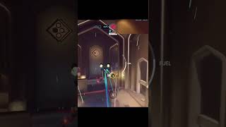 Special delivery by Jetpack Cat | Overwatch