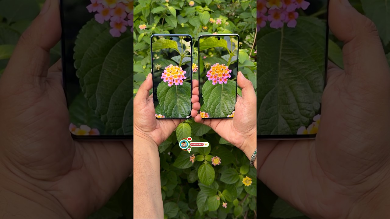 Oneplus Nord CE 5 Vs Vivo Y400 Pro Camera Test