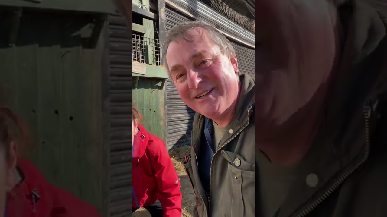 Sunday morning sheep care with Chris & Zoe 