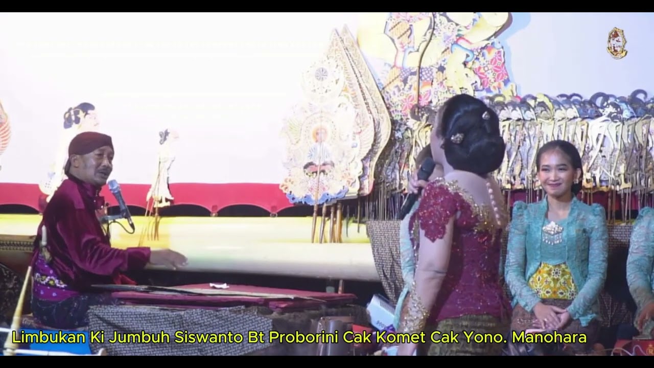 SINDEN VIRAL PROBORINI