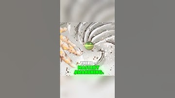 Every way to gain a stand | part 1 | JoJo