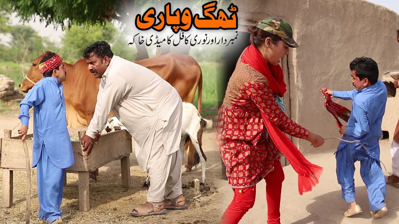 Number Daar Thag Wapari | Noori Top Funny |  New Comedy Video 2021 |Chal Tv