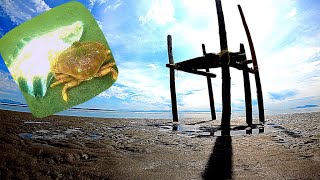 Boundary Bay Crabbing | Centennial Beach, British Columbia
