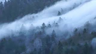 Pristine Hyur - Flush (Mixtape)