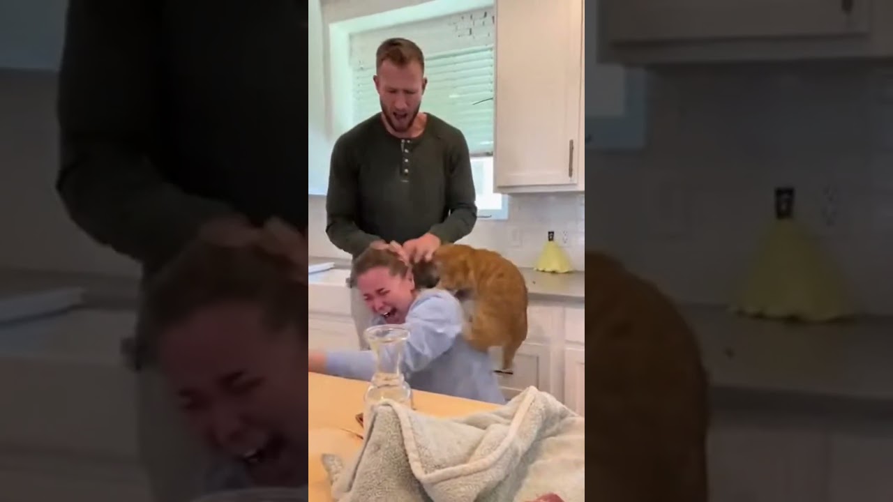 Самая смешная реакция кошки на разрезание торта 🐱 - Мега-коллекция