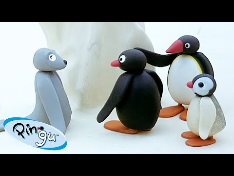 Pingu's Friends & Family 🐧 | Pingu - Official Channel | Cartoons Pingu's Friends & Family 🐧 | Pingu - Official Channel | Cartoons