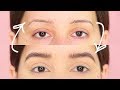 How I Grew Out My Eyebrows! | tashaleelyn