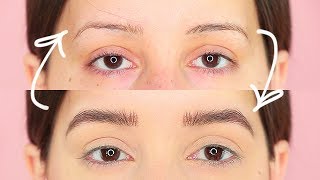 How I Grew Out My Eyebrows! | tashaleelyn