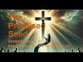 Bethesda Church - December 7, 2025 - The Promised Seed – Assorted Texts