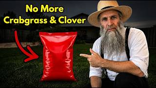 The Amish Secret To Get Rid of Crabgrass & Clover in the Lawn FOREVER!