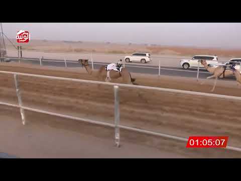 الشوط 9 الشاهينيه لـ سعيد ناصر أحمد الدرعي 2 57 94 شارة الصندوق 2025 08 29 فطامين الرقيعات 