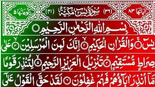 Surah Yaseen (Yasin) Best Qur'an Recitation Surah Rahman Best Qur'an Recitation Yasin Shareef Full