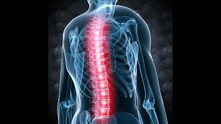 275 Hz : Cerebrospinal Energy (RIFE Healing Frequency)