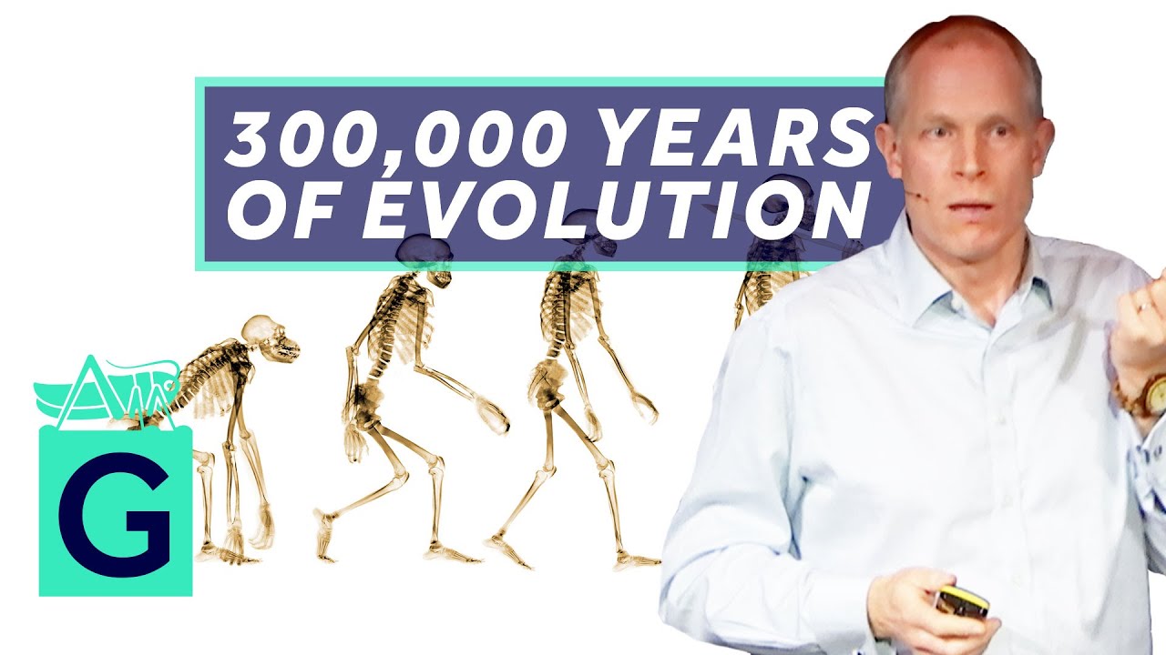 A 300,000-Year History of Human Evolution - Robin May