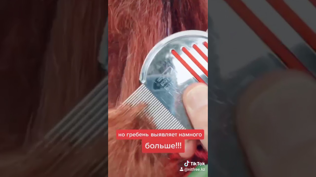 21 ноября 2020 г.