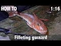 Ref:PyNXh-cxb1Q How to fillet gurnard